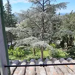Ai Lecci