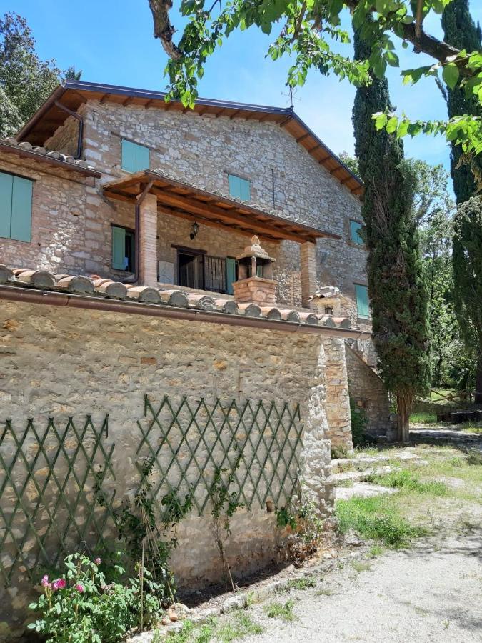 Ai Lecci Apartment *